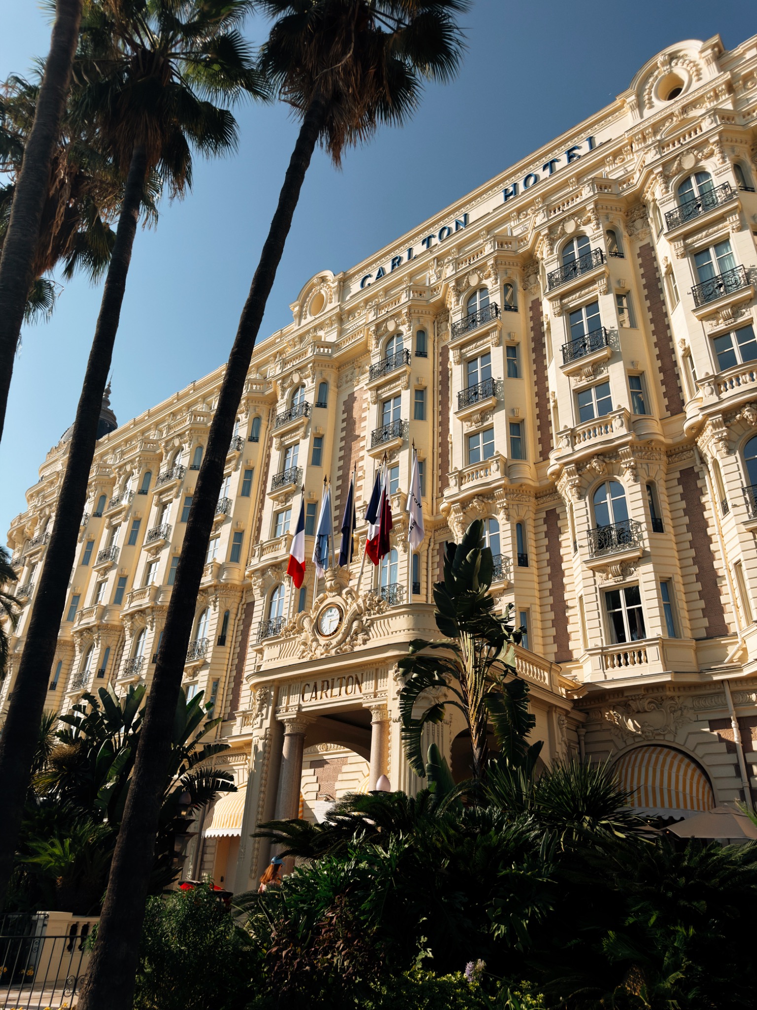 Hotelgebäude hinter Palmen